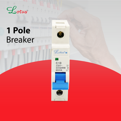 Lotus Single Pole Circuit Breaker - 6A to 63A